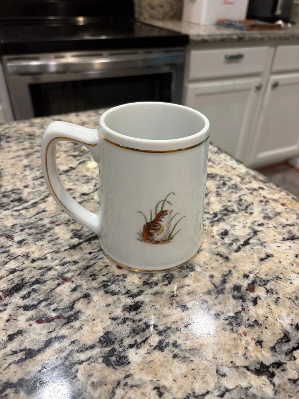 Southern Living Gallery Bobwhite Quail Game Birds South Painted Ceramic Mug